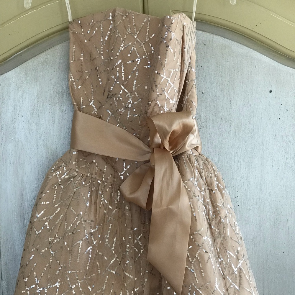 Jessica McClintock juniors size 9 prom dress